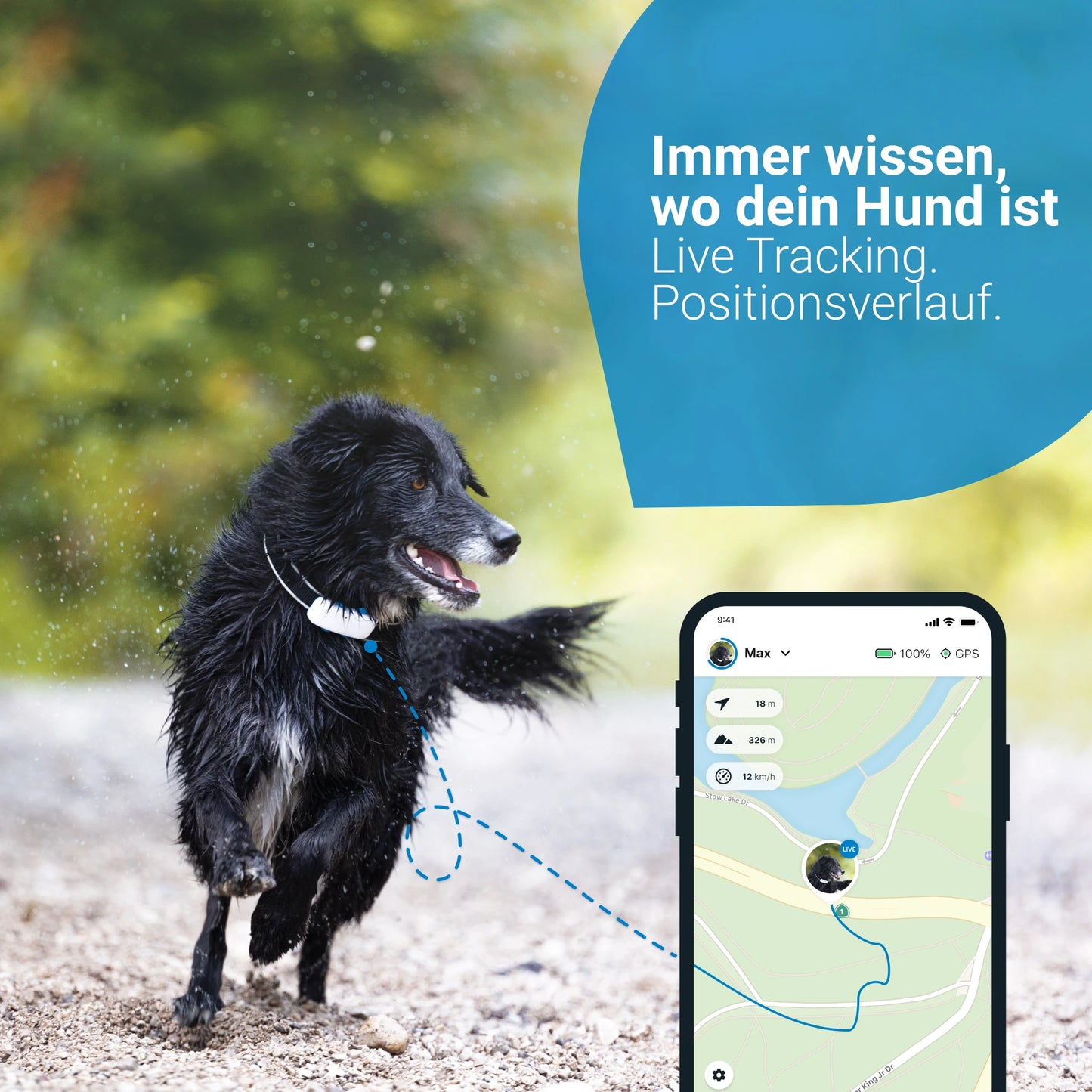 Tractive GPS DOG 4 - GPS Tracker für Hunde