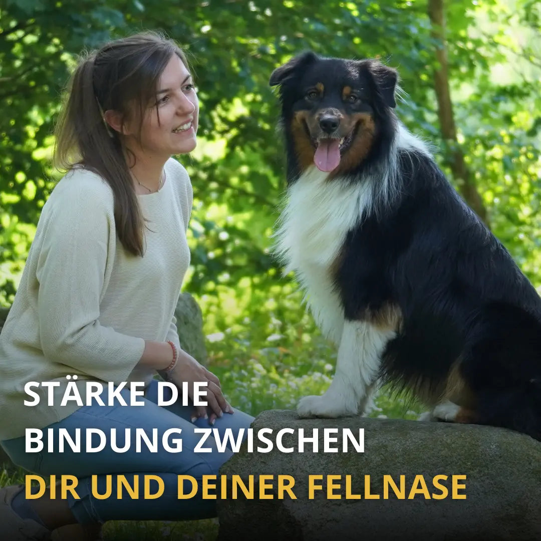 Challenge Buch für Abenteuer mit dem Hund