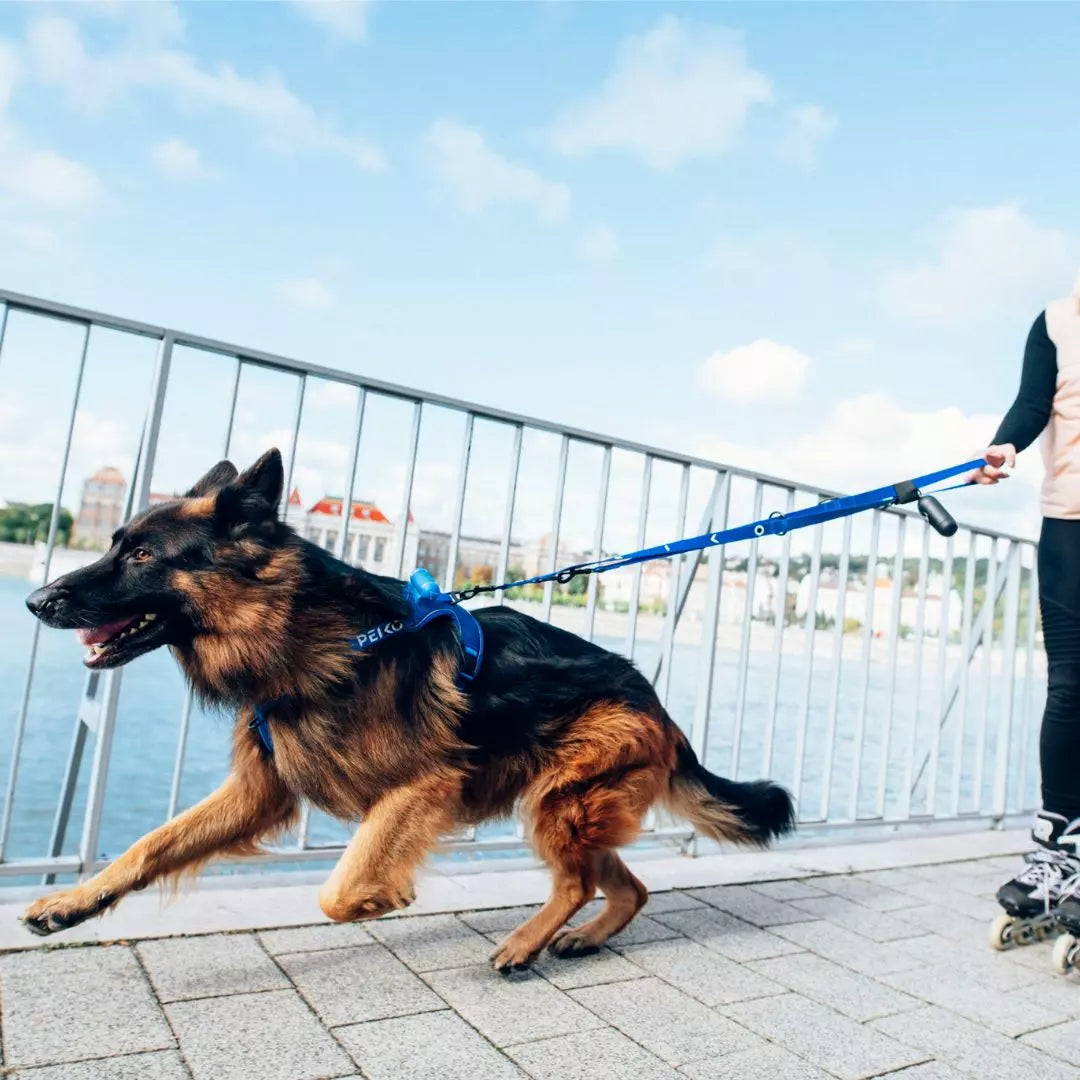 PEIKO®  MULTILEASH™ LEINE