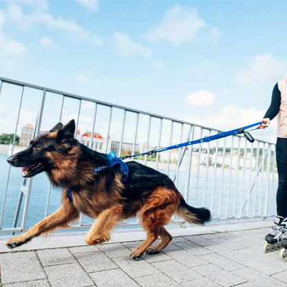 PEIKO®  MULTILEASH™ LEINE