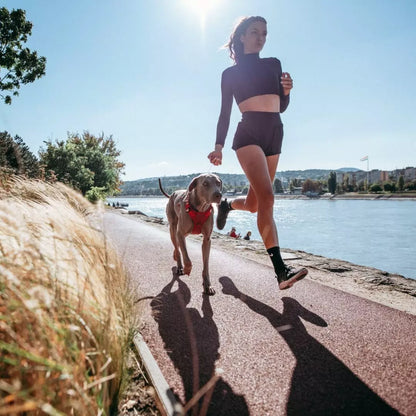 PEIKO® QUICKLEASH™ GESCHIRR