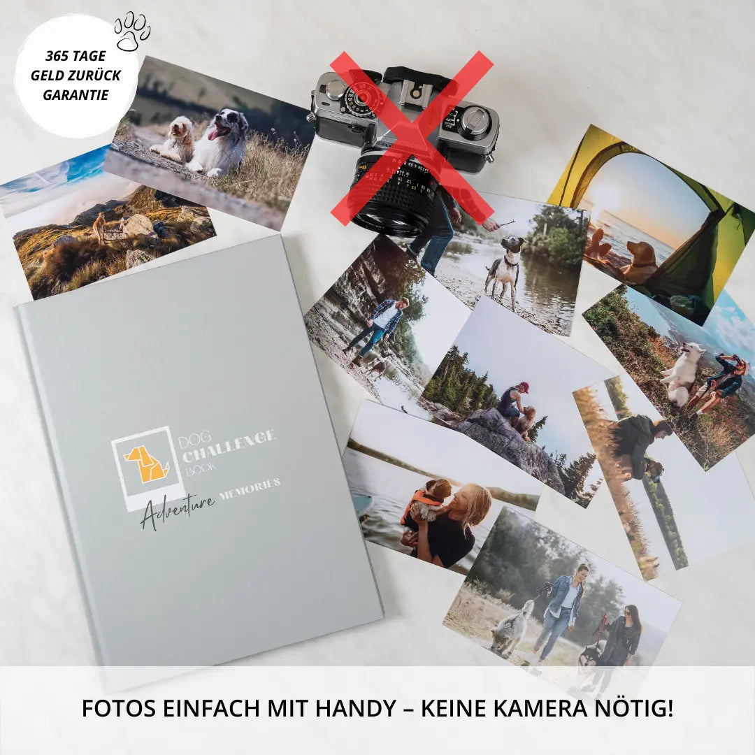 Challenge Buch für Abenteuer mit dem Hund