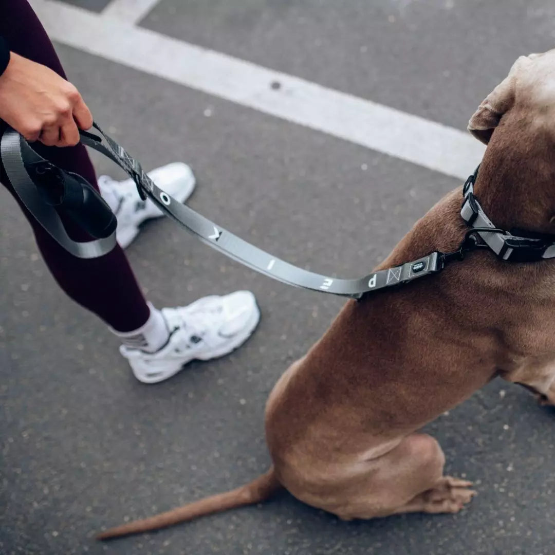 PEIKO®  MULTILEASH™ LEINE