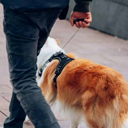 PEIKO® QUICKLEASH™ GESCHIRR