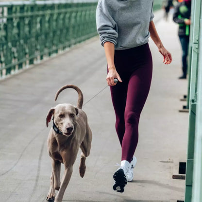 PEIKO® QUICKLEASH™ HALSBAND