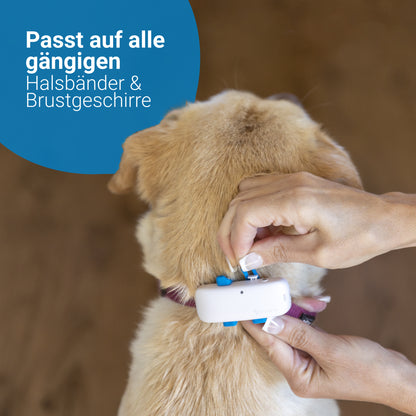 Tractive GPS DOG 4 - GPS Tracker für Hunde