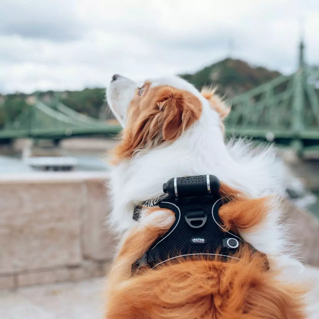 PEIKO® QUICKLEASH™ GESCHIRR