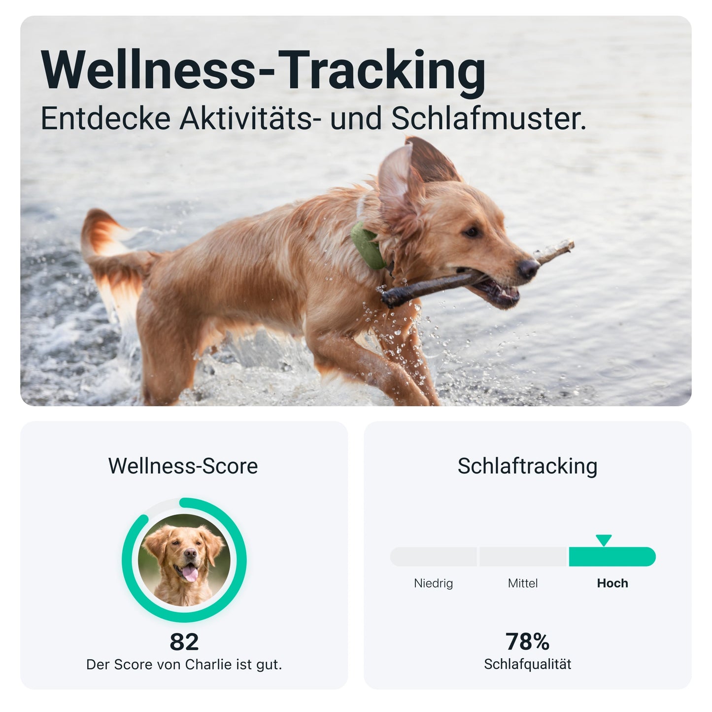 Tractive DOG XL - GPS Tracker mit längerer Akkulaufzeit