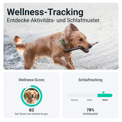 Tractive DOG XL - GPS Tracker mit längerer Akkulaufzeit