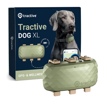 Tractive DOG XL - GPS Tracker mit längerer Akkulaufzeit