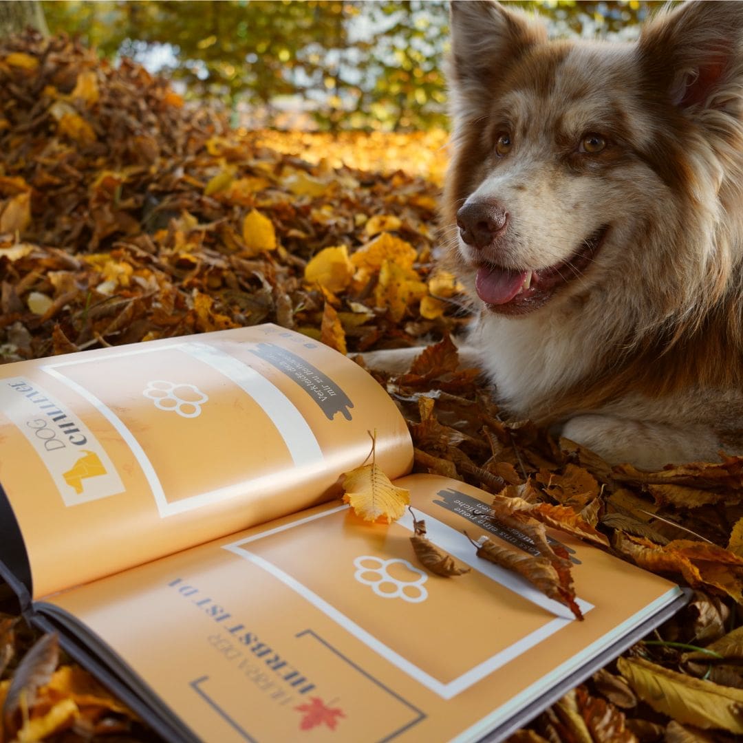 Dog Challenge Book - Edition 2022