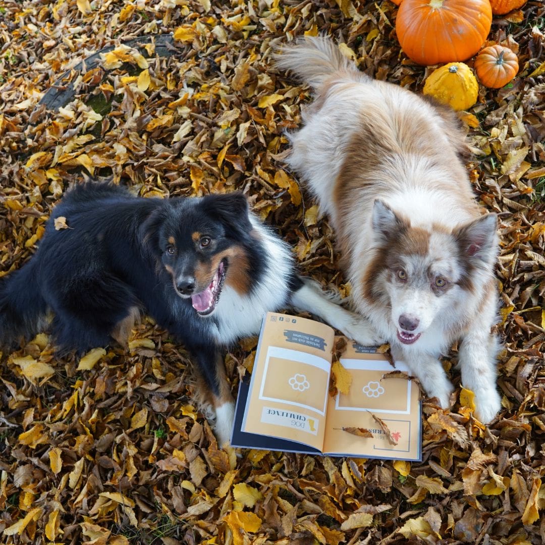 Dog Challenge Book - Edition 2022